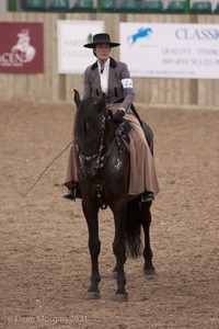 Lusitano Breed Society of Great Britain Show - Hartpury College - 27th June 2009